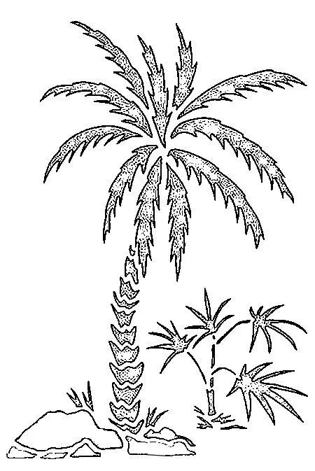 Dibujos para colorear Playa Palmeras Dibujos para imprimir Dibujos para colorear Playa Palmeras Dibujos para imprimir