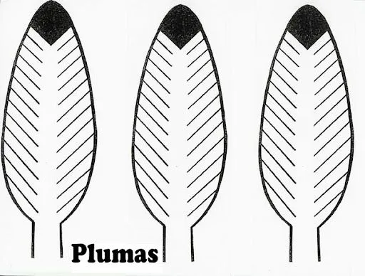 DIBUJOS PARA COLOREAR PLUMAS | Dibujos para colorear DIBUJOS PARA COLOREAR PLUMAS | Dibujos para colorear