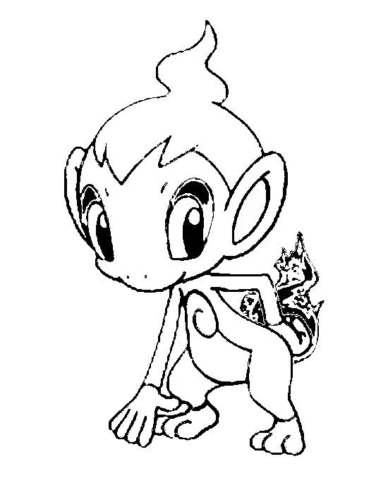 Dibujos para colorear Pokemon - Chimchar - Dibujos Pokemon Dibujos para colorear Pokemon - Chimchar - Dibujos Pokemon