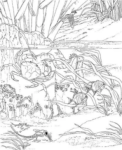Dibujos para colorear de recursos naturales no renovables - Imagui Dibujos para colorear de recursos naturales no renovables - Imagui