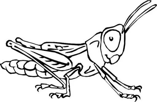 DIBUJOS PARA COLOREAR SALTAMONTES | Dibujos para colorear DIBUJOS PARA COLOREAR SALTAMONTES | Dibujos para colorear