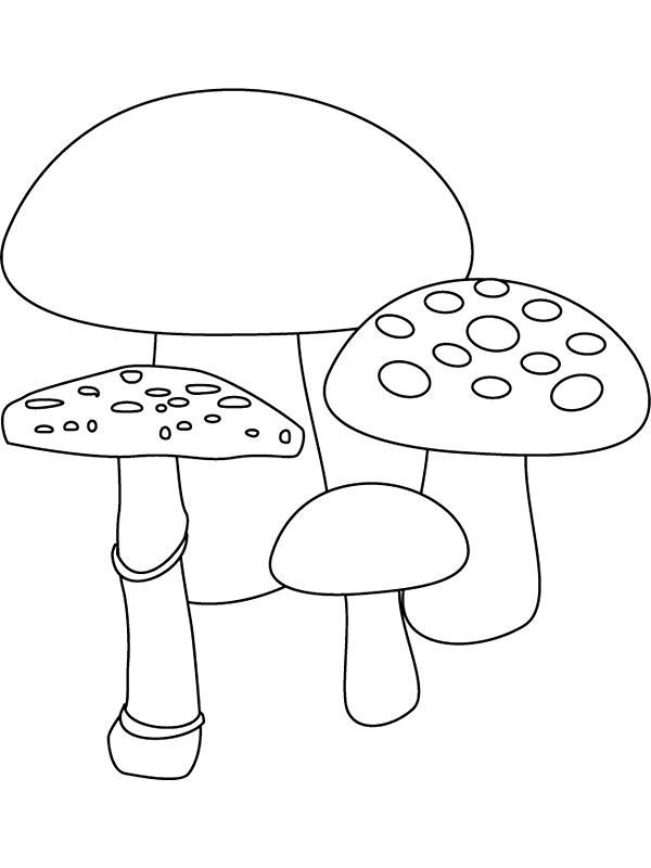 Dibujos para colorear de Setas, callampas, champiñones, Plantillas ... Dibujos para colorear de Setas, callampas, champiñones, Plantillas ...
