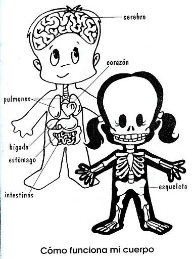 為孩子們的著色頁: Elementos del cuerpo humano para colorear 為孩子們的著色頁: Elementos del cuerpo humano para colorear