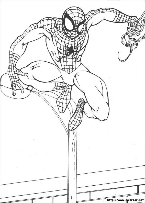 Dibujos de Spiderman para colorear en Colorear.net Dibujos de Spiderman para colorear en Colorear.net