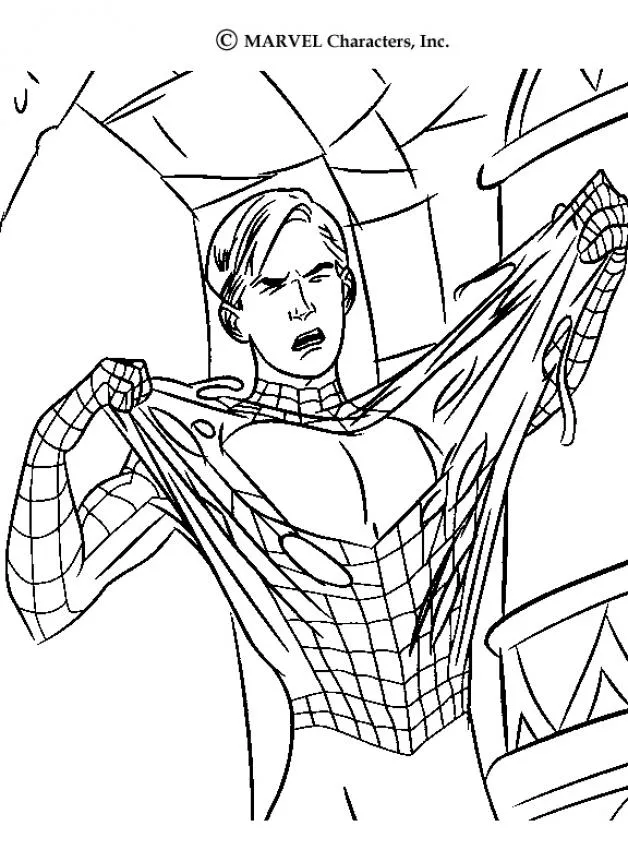 Dibujos para colorear SPIDERMAN, Peter Parker salvandose del ...
