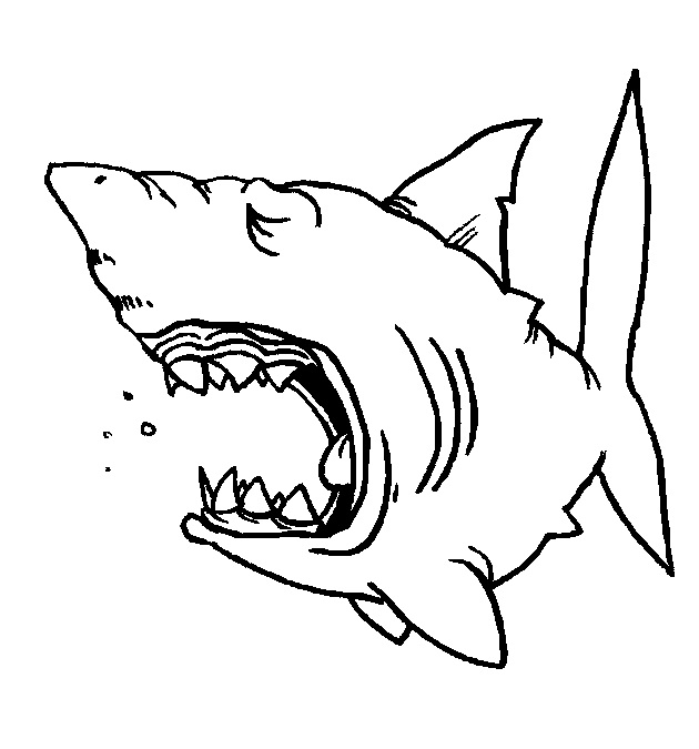 Dibujos para colorear de Tiburones, Selachimorpha, Plantillas para ... Dibujos para colorear de Tiburones, Selachimorpha, Plantillas para ...