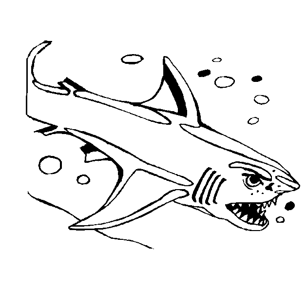 Dibujos para colorear de Tiburones, Selachimorpha
