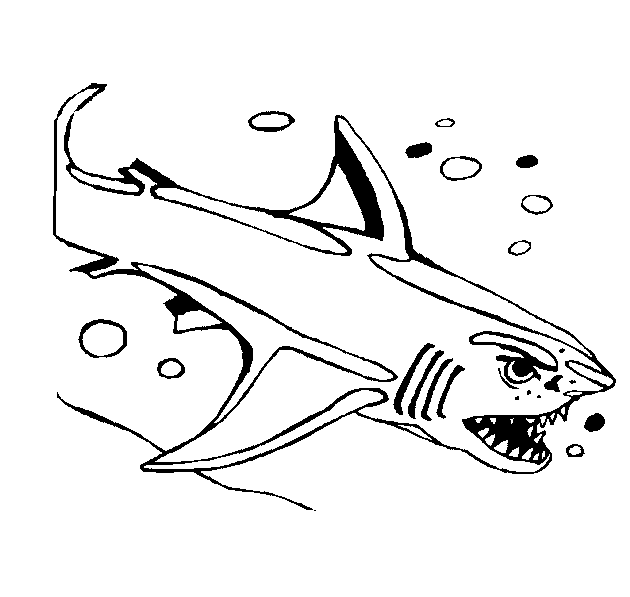 Dibujos para colorear de Tiburones, Selachimorpha, Plantillas para ...