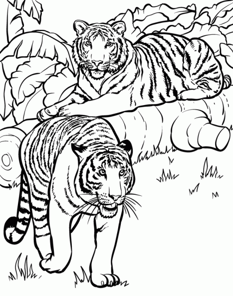 Dibujos para colorear y pintar para los niños Dibujos para colorear y pintar para los niños