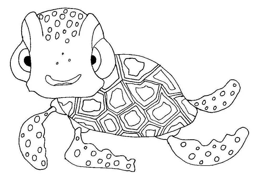 Dibujos para colorear: Tortuga para colorear