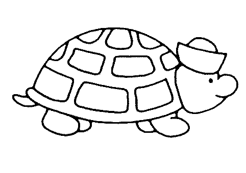 Dibujos morrocoy para colorear - Imagui