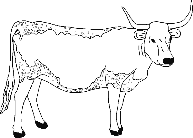 Dibujos para colorear de Vacas, Bos taurus, ganado bovino ... Dibujos para colorear de Vacas, Bos taurus, ganado bovino ...