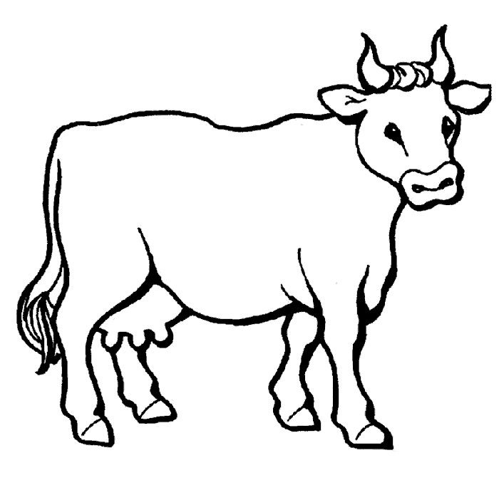 Dibujos para colorear de Vacas, Bos taurus, ganado bovino ...