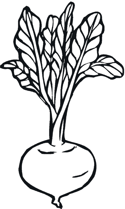 Dibujos para colorear de Verduras, hortalizas, Plantillas para ...