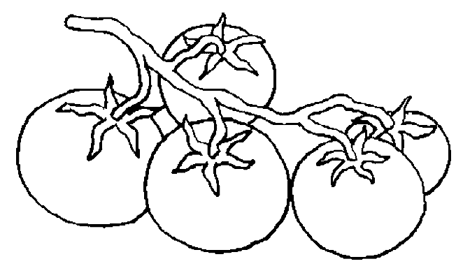 Dibujos para colorear de Verduras, hortalizas, Plantillas para ... Dibujos para colorear de Verduras, hortalizas, Plantillas para ...