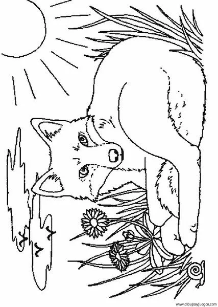 dibujo-de-zorro-016 | Dibujos y juegos, para pintar y colorear dibujo-de-zorro-016 | Dibujos y juegos, para pintar y colorear