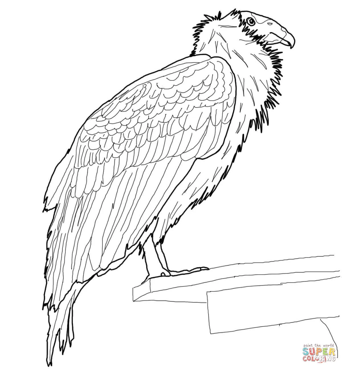 Dibujos de Cóndores para colorear - Páginas para imprimir y ... Dibujos de Cóndores para colorear - Páginas para imprimir y ...
