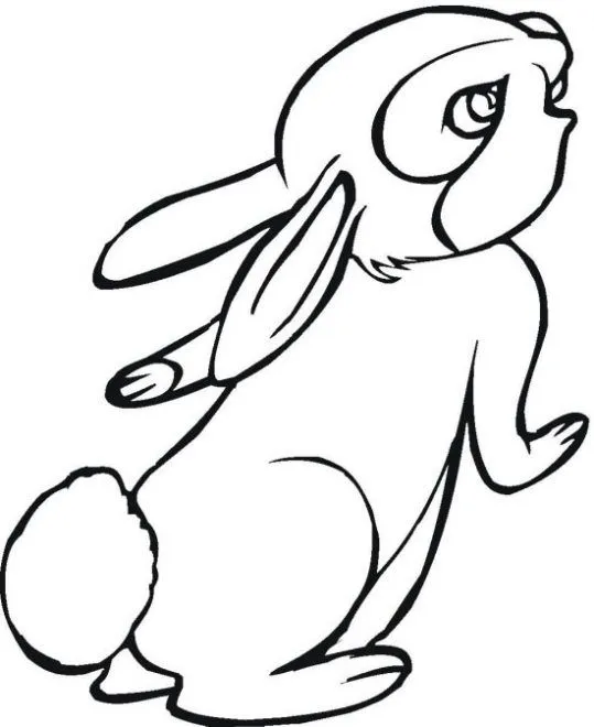 Dibujos conejos tiernos - Imagui