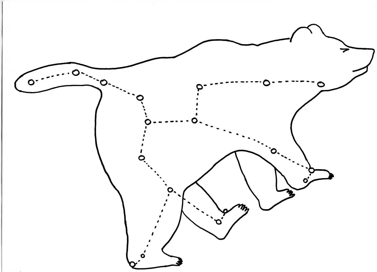 Dibujos de constelaciones para imprimir - Imagui Dibujos de constelaciones para imprimir - Imagui