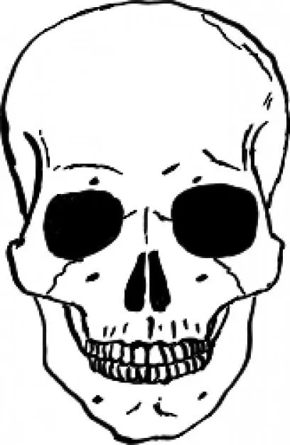Dibujos del craneo para niños - Imagui
