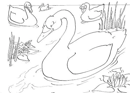 DIBUJOS DEL CUENTO EL PATITO FEO PARA IMPRIMIR Y PINTAR