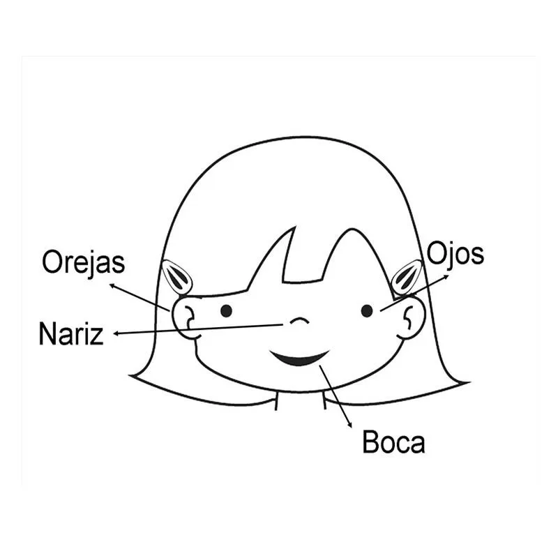 DIBUJOS DEL CUERPO HUMANO ® Para colorear e imprimir DIBUJOS DEL CUERPO HUMANO ® Para colorear e imprimir