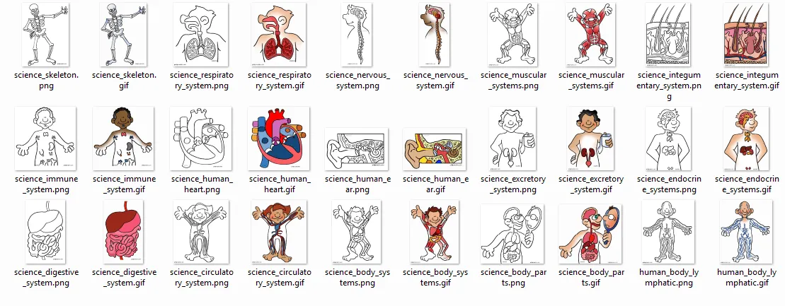 BIENVENIDO A NUESTRO SUPER ESPACIO: DIBUJOS DEL CUERPO HUMANO BIENVENIDO A NUESTRO SUPER ESPACIO: DIBUJOS DEL CUERPO HUMANO