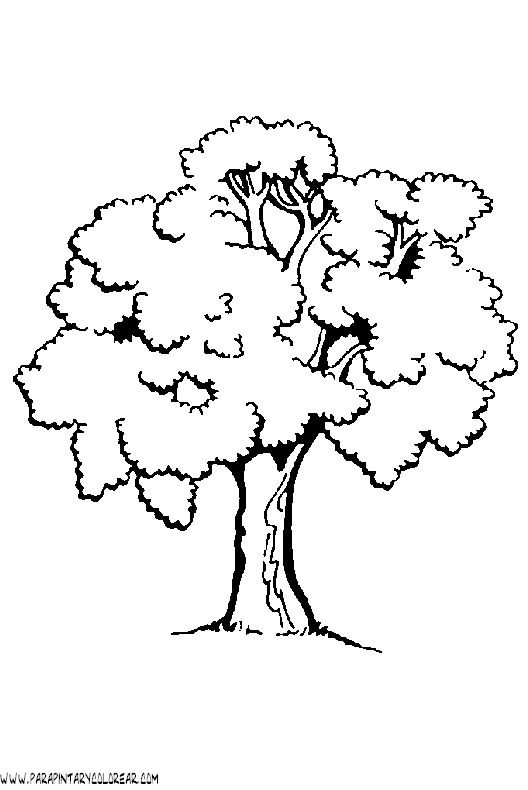 dibujos-de-arboles-para-colorear-004