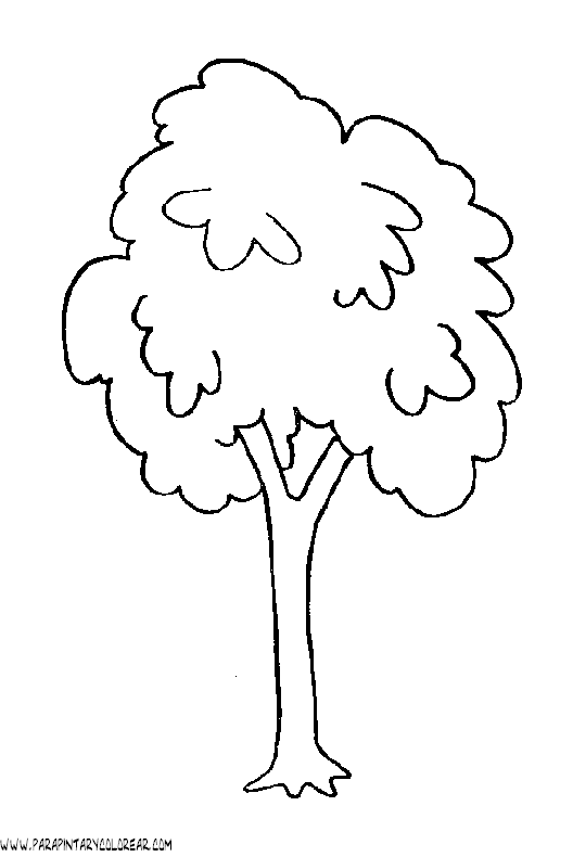 Dibujos para colorear un arbol - Imagui