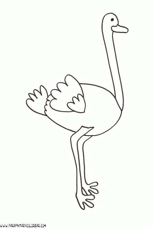 dibujos-de-avestruces-10