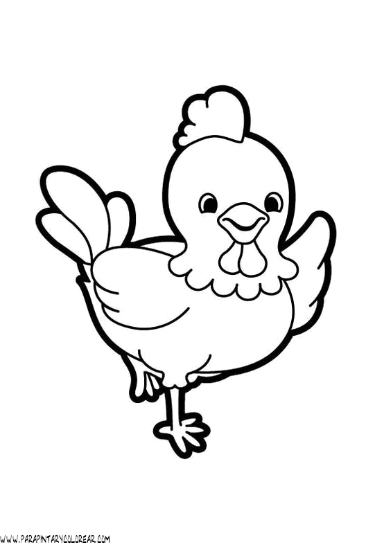 dibujos-de-gallos-03