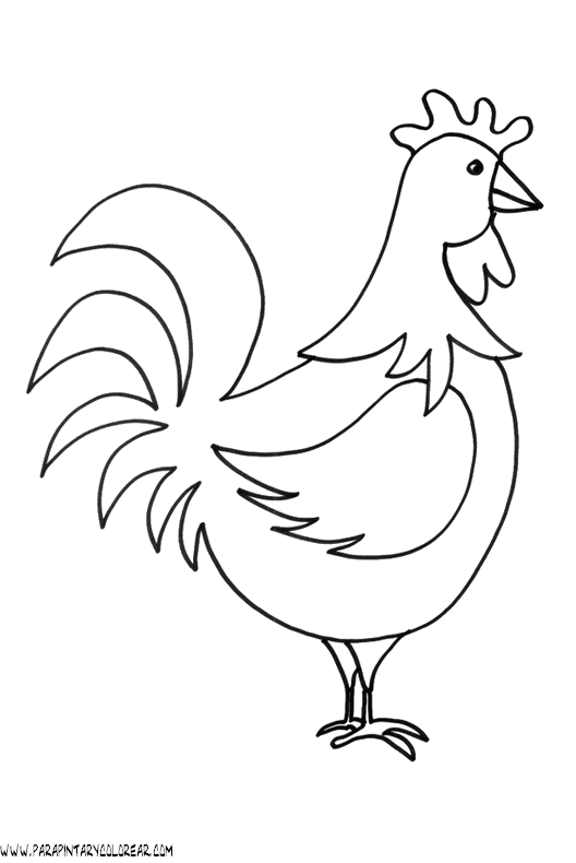 Dibujo d un gallo - Imagui