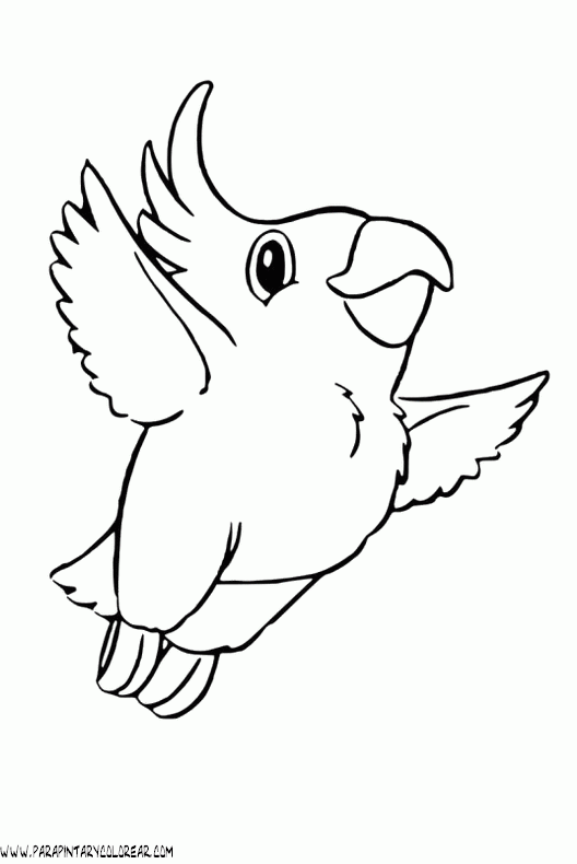 dibujos-de-loros-08