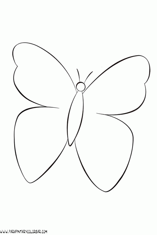 dibujos-de-mariposas-123