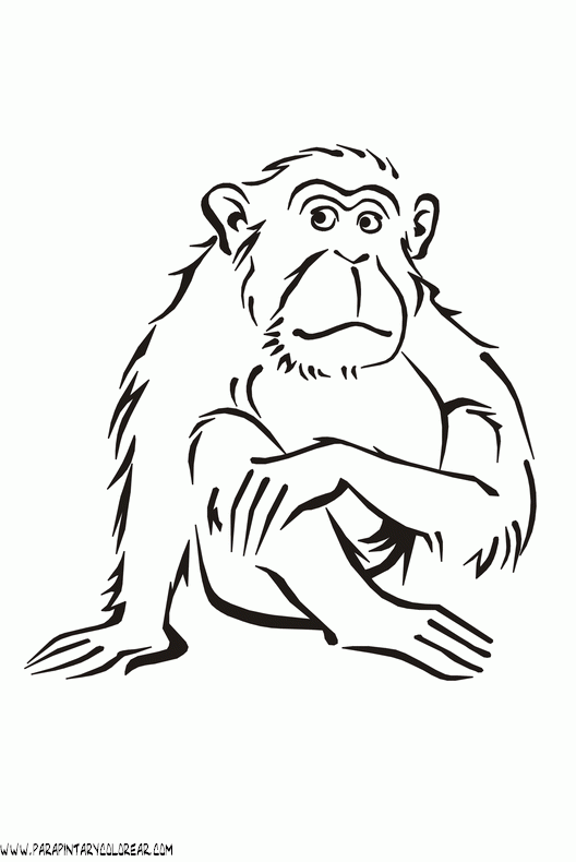dibujos-de-monos-68