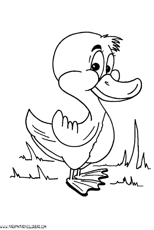 dibujos-de-patos-16