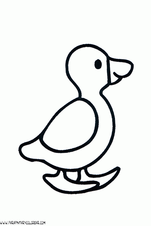 dibujos-de-patos-30