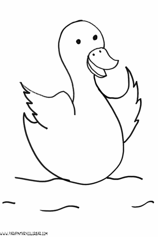 dibujos-de-patos-56