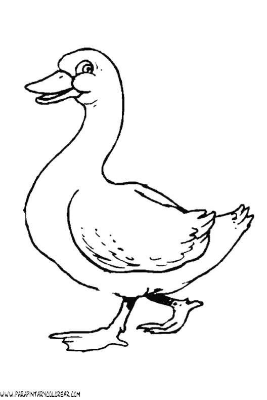 dibujos-de-patos-61