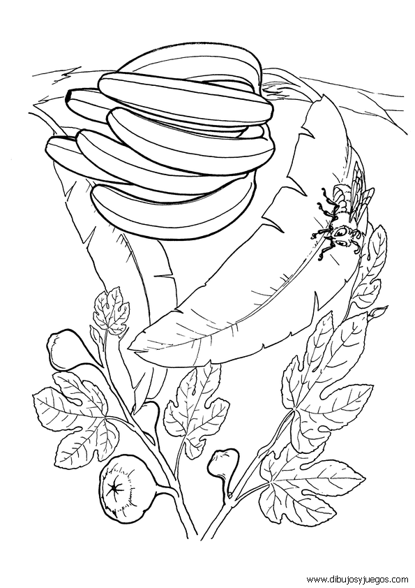 dibujos-de-platanos-bananas-008 | Dibujos y juegos, para pintar y ... dibujos-de-platanos-bananas-008 | Dibujos y juegos, para pintar y ...