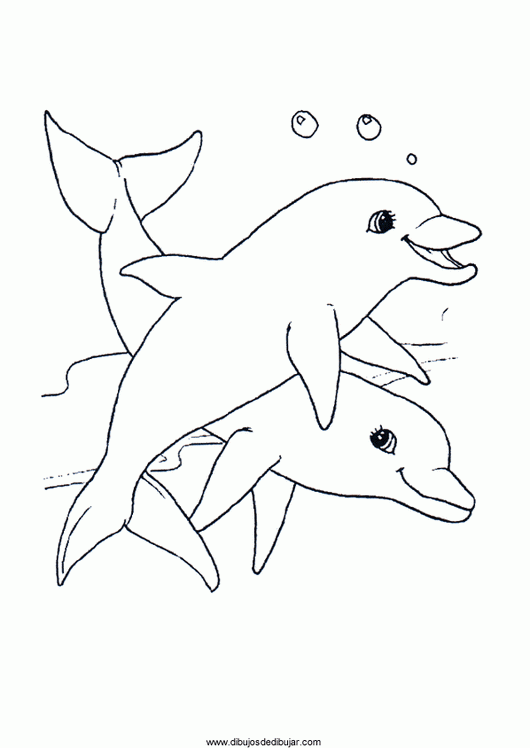 Dibujos de delfines para colorear e imprimirDibujos de dibujar