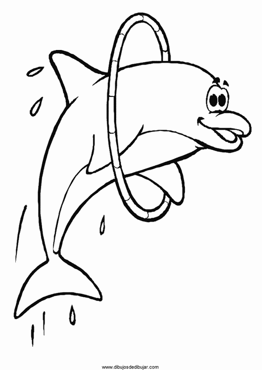 Dibujos de delfines para colorear e imprimirDibujos de dibujar Dibujos de delfines para colorear e imprimirDibujos de dibujar