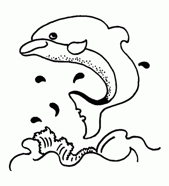 Dibujos de delfines | DELFINPEDIA