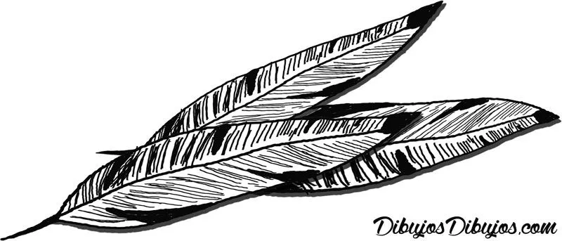 DIBUJOS DIBUJOS