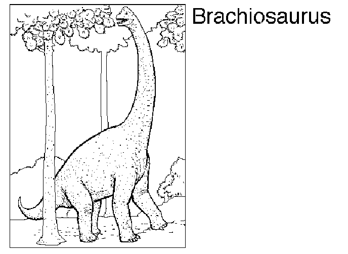 Dibujos de dinosaurios para colorear