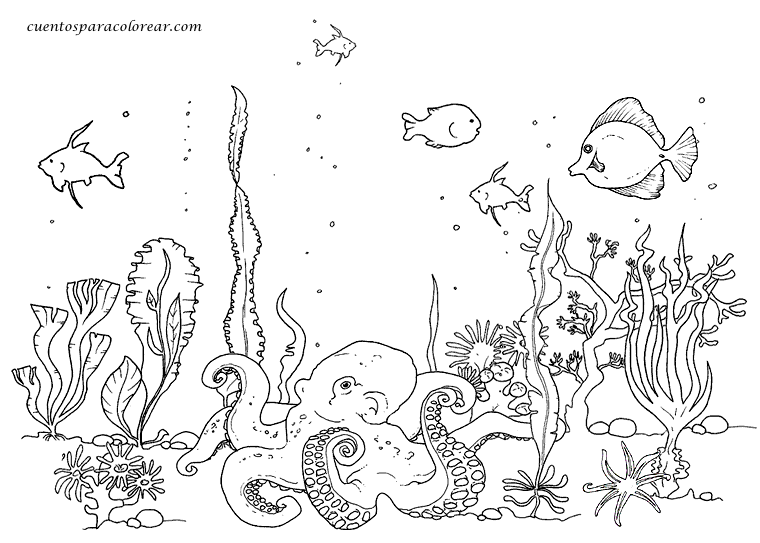 dibujos de ecosistemas para colorear - Buscar con Google ... dibujos de ecosistemas para colorear - Buscar con Google ...