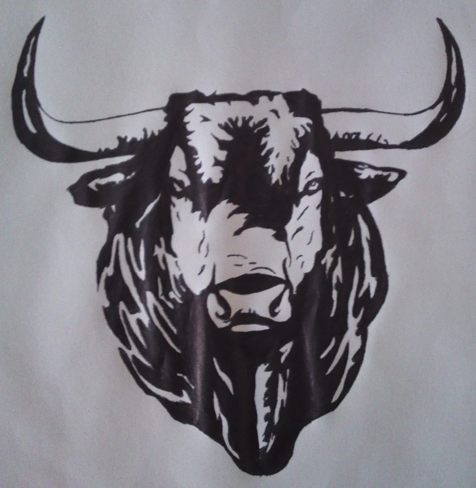 DIBUJOS EDU: CARAS DE TOROS