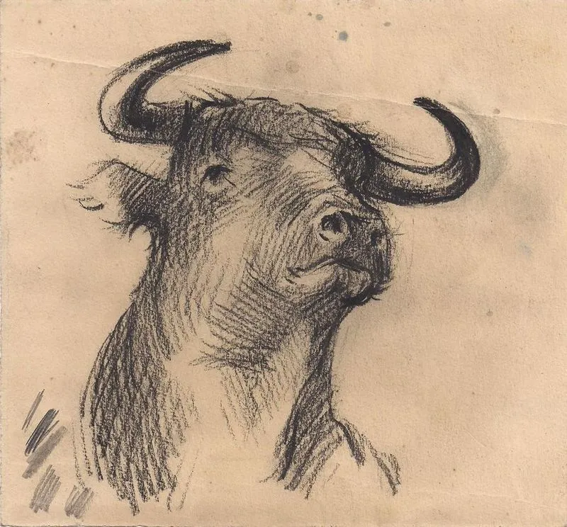 Dibujos y esbozos segunda parte - Documentación | Fidel Trias Pagès Dibujos y esbozos segunda parte - Documentación | Fidel Trias Pagès