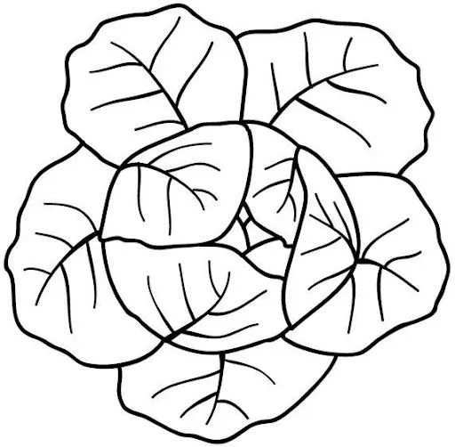 Dibujos para colorear alimentos de origen vegetal - Imagui Dibujos para colorear alimentos de origen vegetal - Imagui