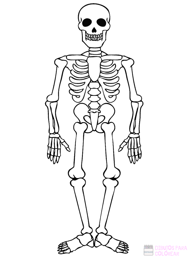 ᐈ Dibujos de Esqueletos【+1000】Para decorar Hoy – Dibujos para Colorear ᐈ Dibujos de Esqueletos【+1000】Para decorar Hoy – Dibujos para Colorear
